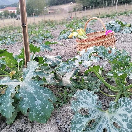 Agriturismo Dei Legi San Pietro Vara Экстерьер фото