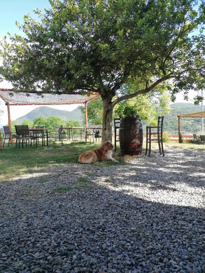 Agriturismo Dei Legi San Pietro Vara Экстерьер фото