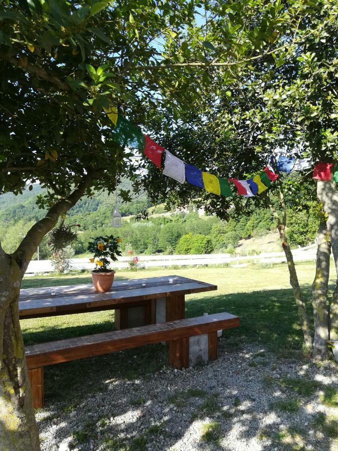 Agriturismo Dei Legi San Pietro Vara Экстерьер фото