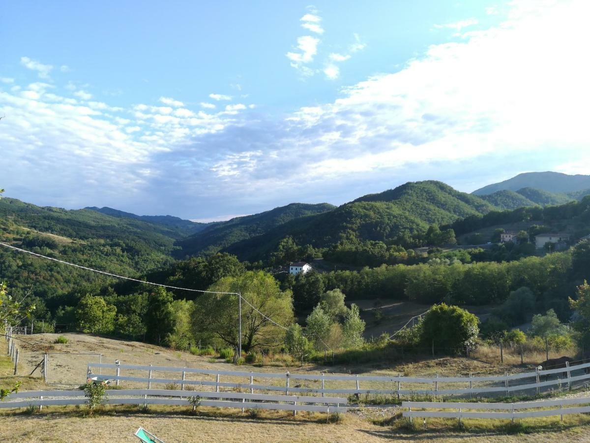 Agriturismo Dei Legi San Pietro Vara Экстерьер фото